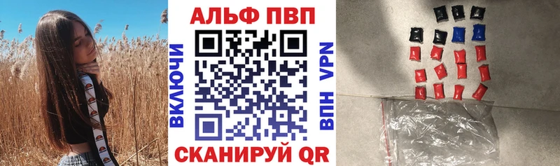 Альфа ПВП СК  Магадан 
