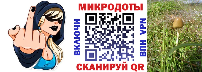 Псилоцибиновые грибы GOLDEN TEACHER  купить наркотики сайты  Магадан 